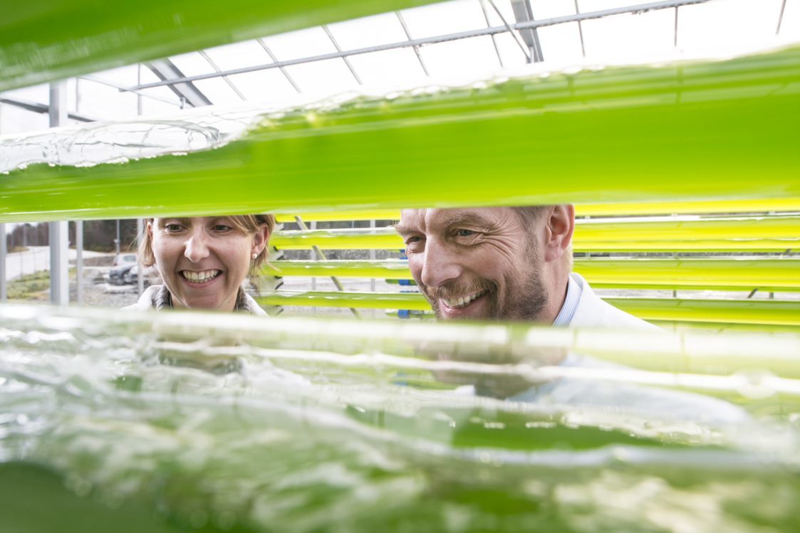 Alge Hans Kleivdal og Dorinde