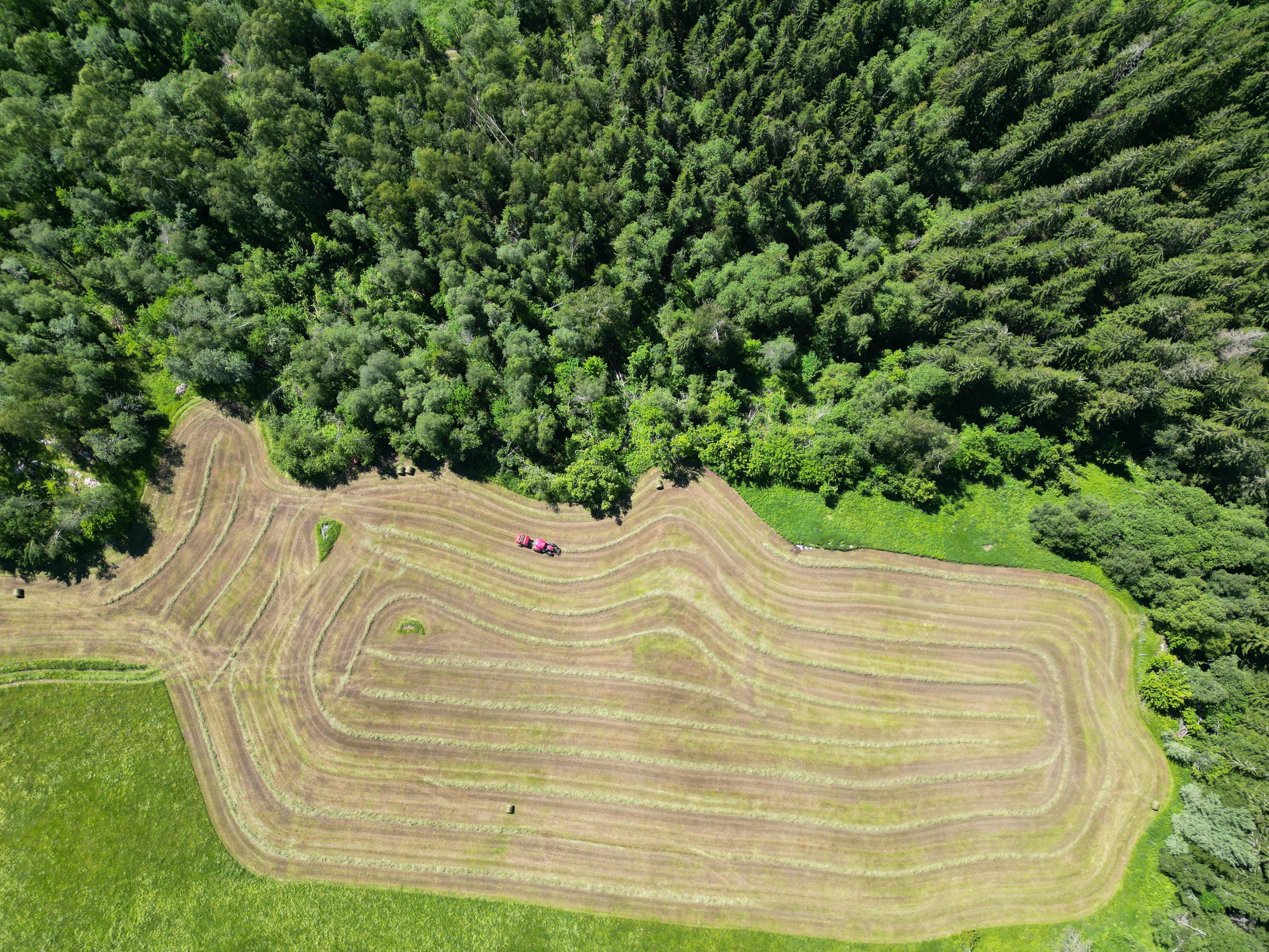 20220630 DJI 0144