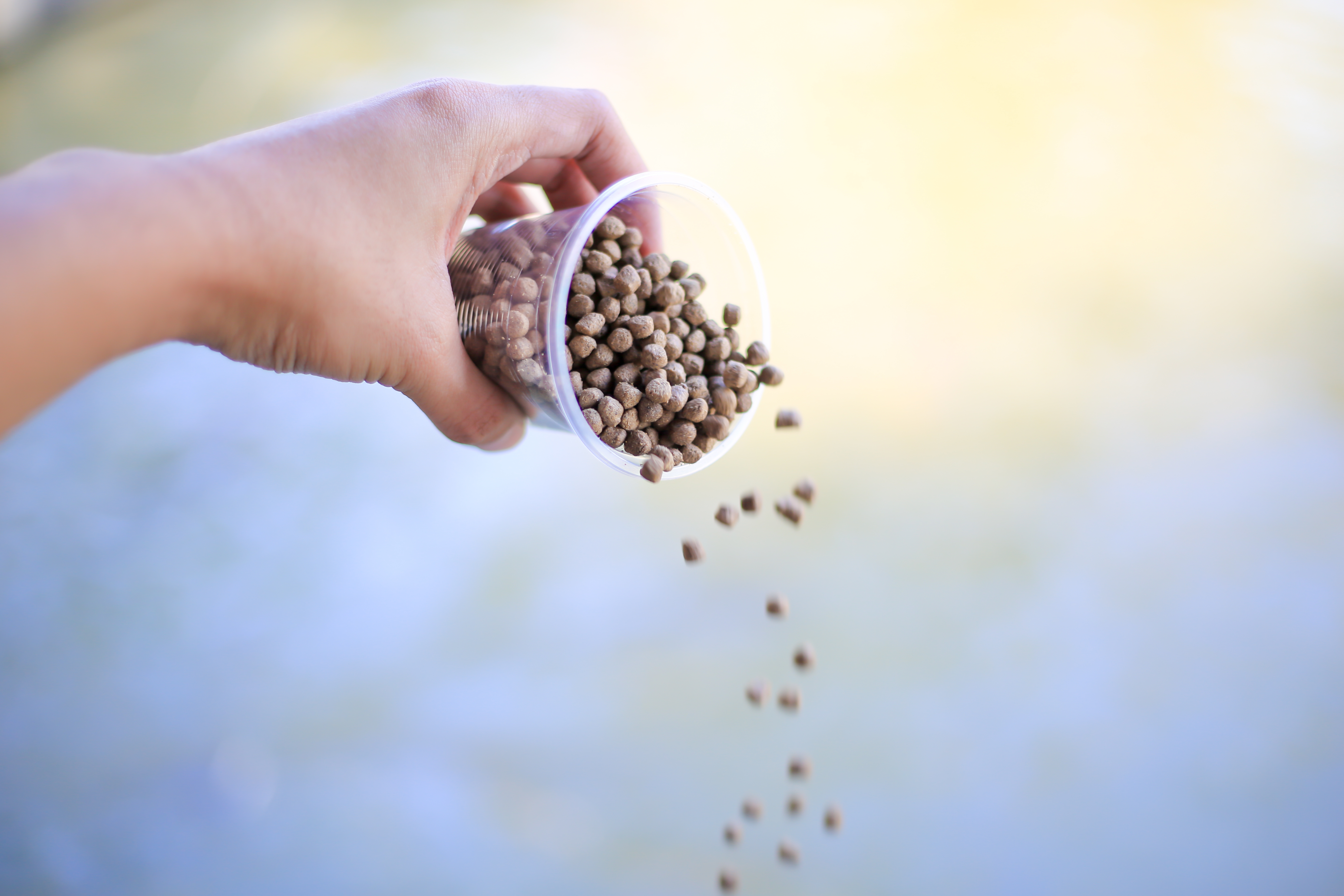 Adobe Stock 85037130