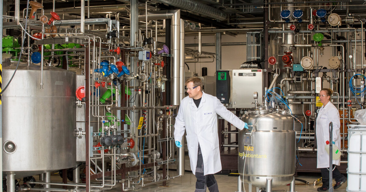 Ny rapport: Veier til bærekraftig mat- og fôrproduksjon i Norge