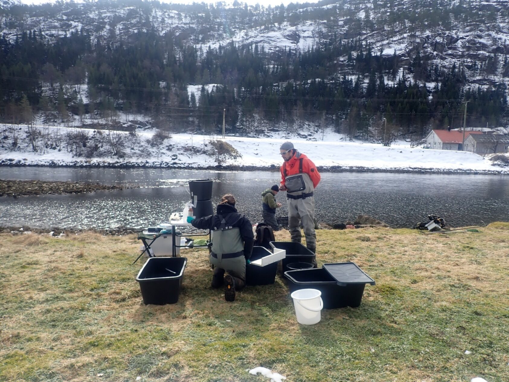 NORCE, NORCE-forskerne fra forskergruppen LFI på feltarbeid i Modalen., Feltarbeid i forbindelse med merking av smolt Modalen 2, <p>NORCE</p>, En gruppe menn i vadere med diverse bokser og utstyr på elvebredden
