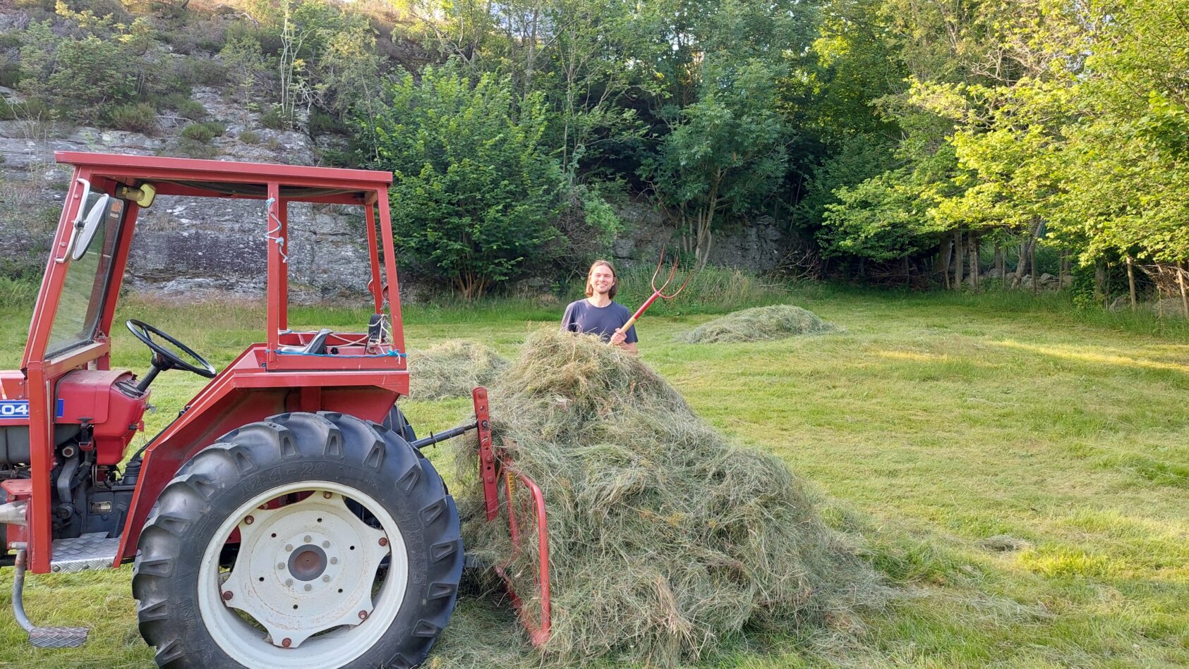Manuel Hempel, Hjelper bonde med å høste grovfôr på en gård på Tysnes i Hardangerfjorden. Besøket er en del av et prosjekt der Hempel og kollegaer jobber med å bruke langtidsvarslinger for bønder som produserer grovfôr., MH2, <p>Privat</p>, Mann med høygaffel ved siden av eldre traktor med sleperive fylt med tørket høy. Foto