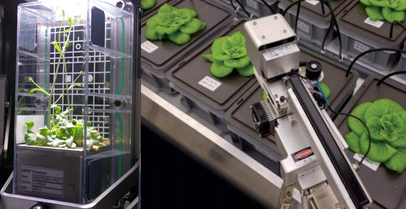 CIRiS (Center for Interdisciplinary Research in Space), Dyrkning av salatplanter i klimaregulerte vekstkammer for den Internasjonale romstasjonen (ISS). Som romfartsingeniør for Airbus jobbet Manuel Hempel med å dyrke planter i såkalt ‘lukkede systemer’. For at astronauter skal klare å gjennomføre lengre romferder i fremtiden, for eksempel til Mars, må de være i stand til å dyrke ny mat underveis., MH3, <p>Center for Interdisciplinary Research in Space</p>, Salatplanter i i lukked vekstkammer