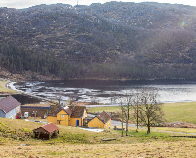 Rune Rolvsjord, NORCE, På andre siden av vannet går grisene på friland. Vannet skal utnyttes til vannkraft., 0 S0 A0699, ,