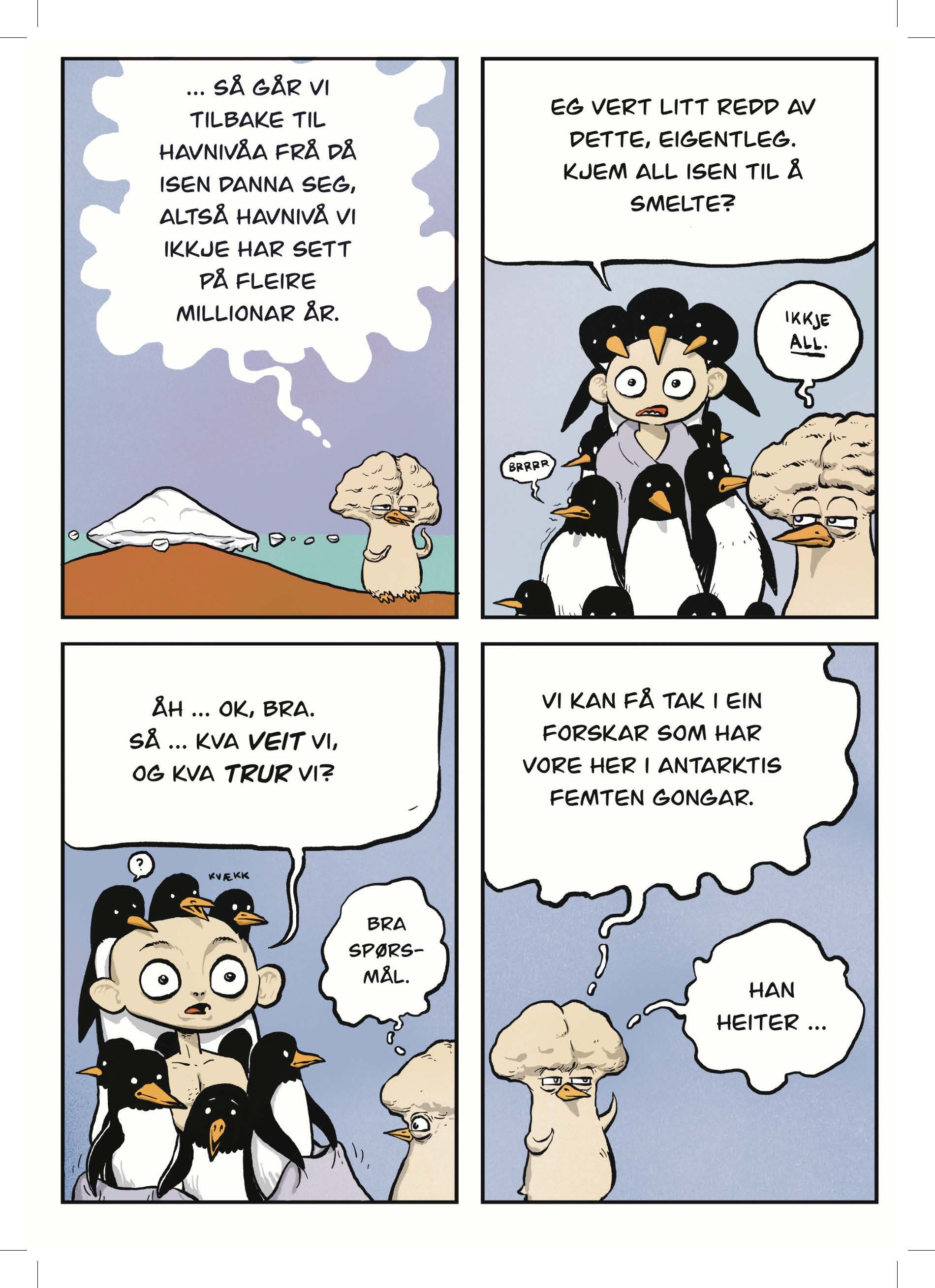 Brosjyre 170x240 28s Antarktis og oss Page 11