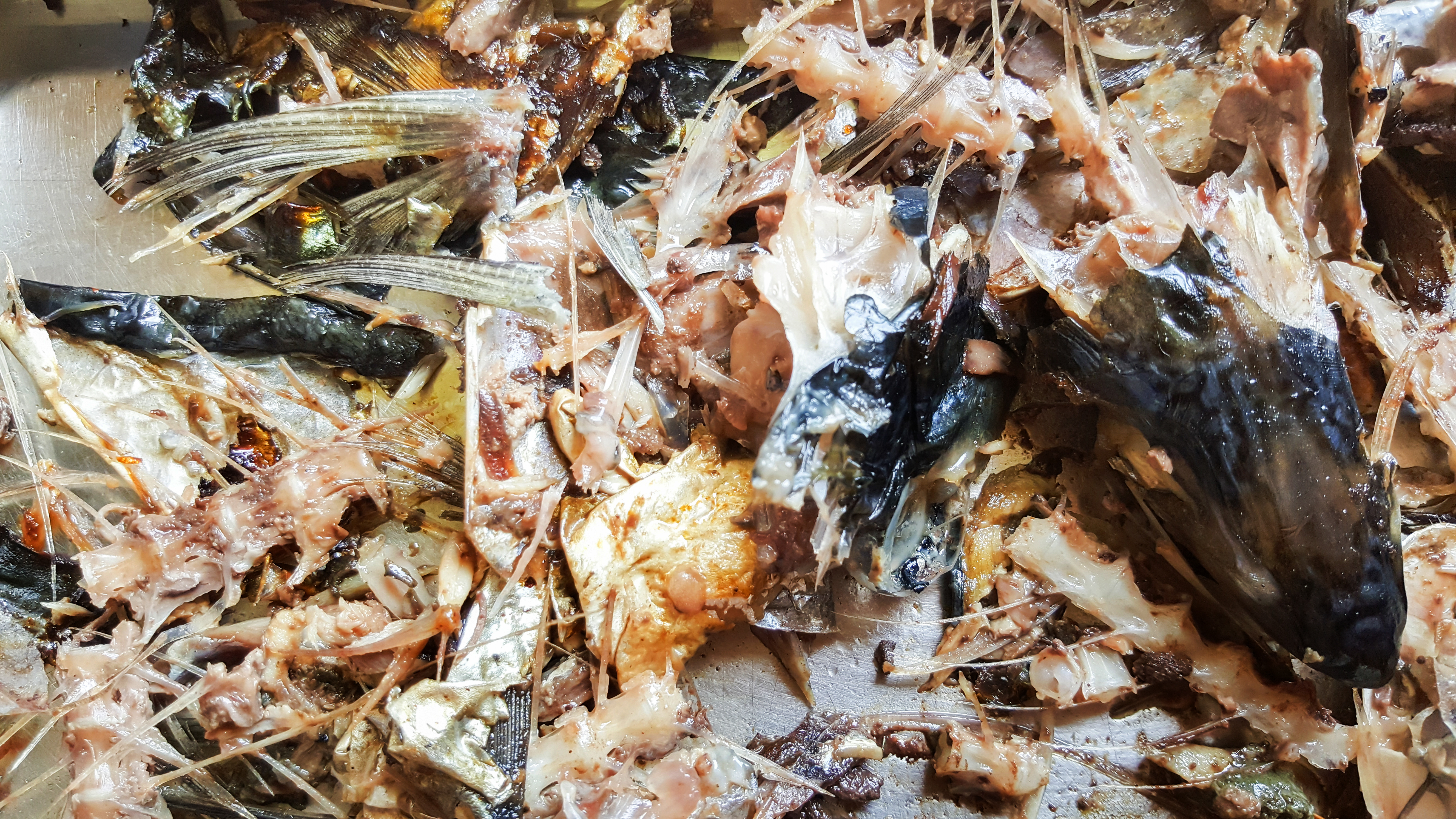 Bits and bones, fish and feed can be eaten, used as sources of protein, or even recycled into plastic.
