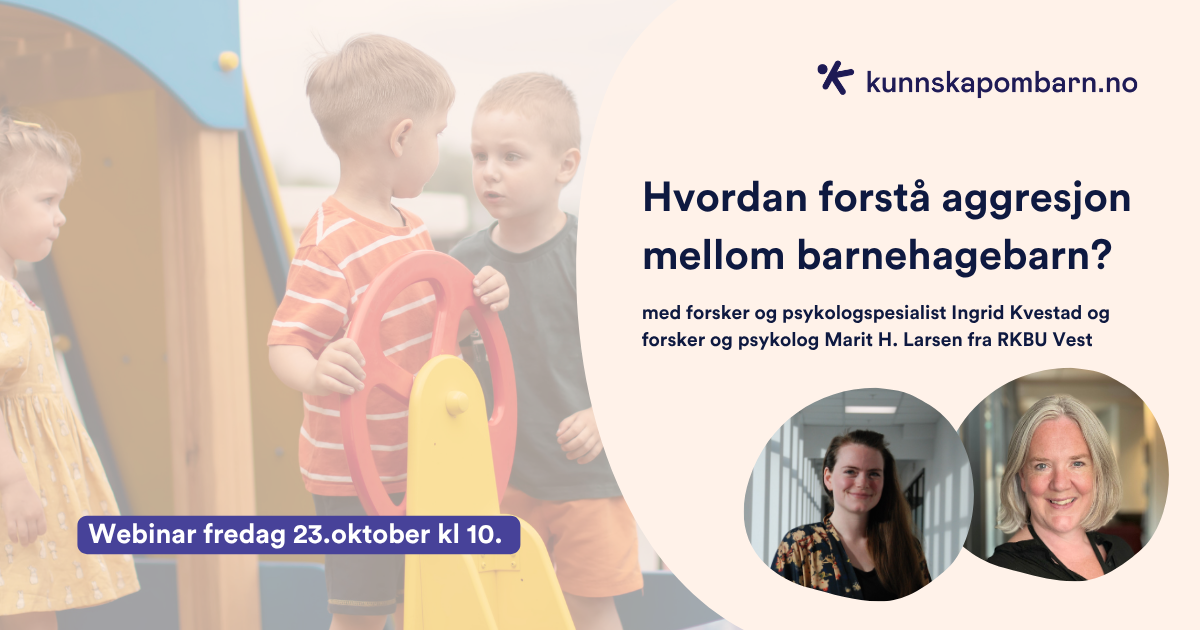Hvordan forstå aggresjon mellom barnehagebarn