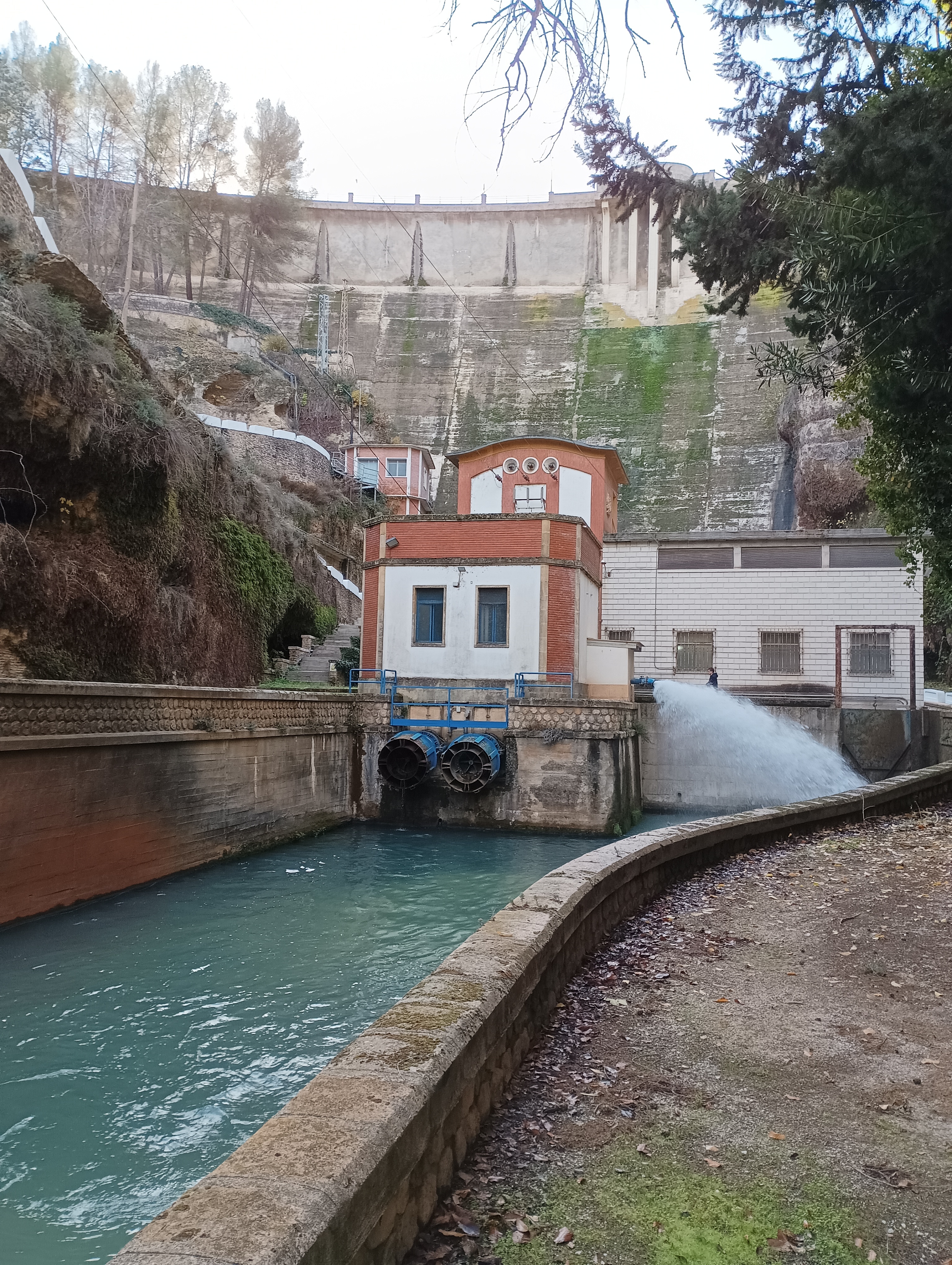 Bermejales good quality