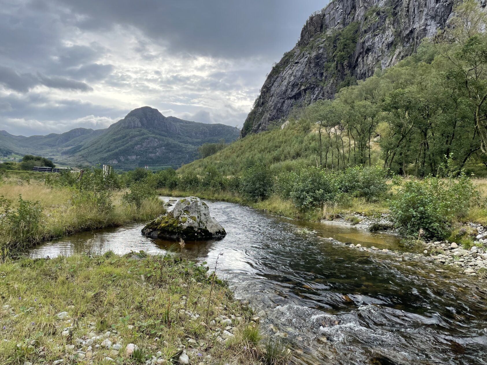 Nok plass til elven ga flere fisk og bedre flomsikring - Norce