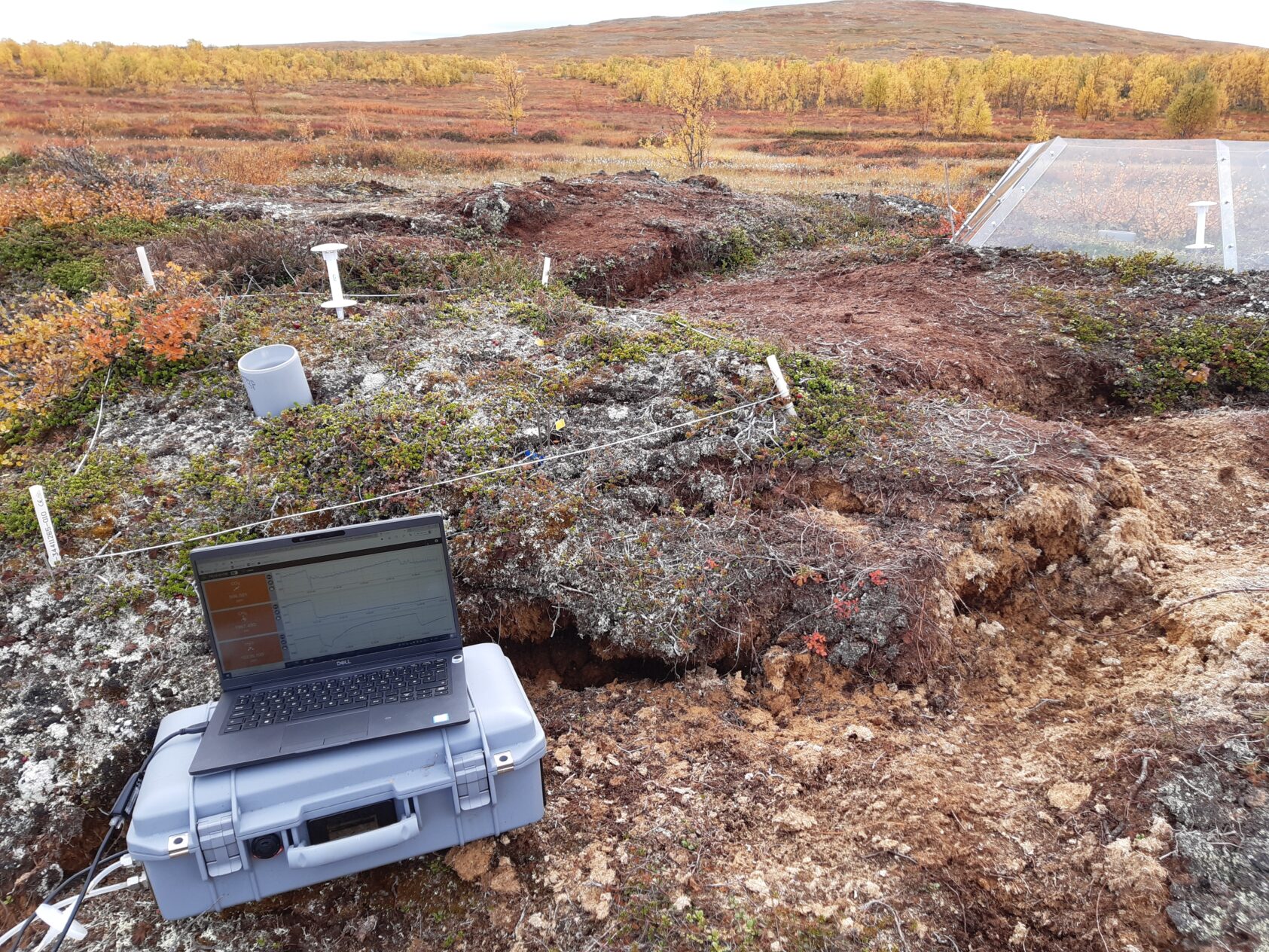 Foto: Inge Althuizen, NORCE, Frå feltarbeid i Iškoras, Finnmark, Norge., Althuizen study2, ,