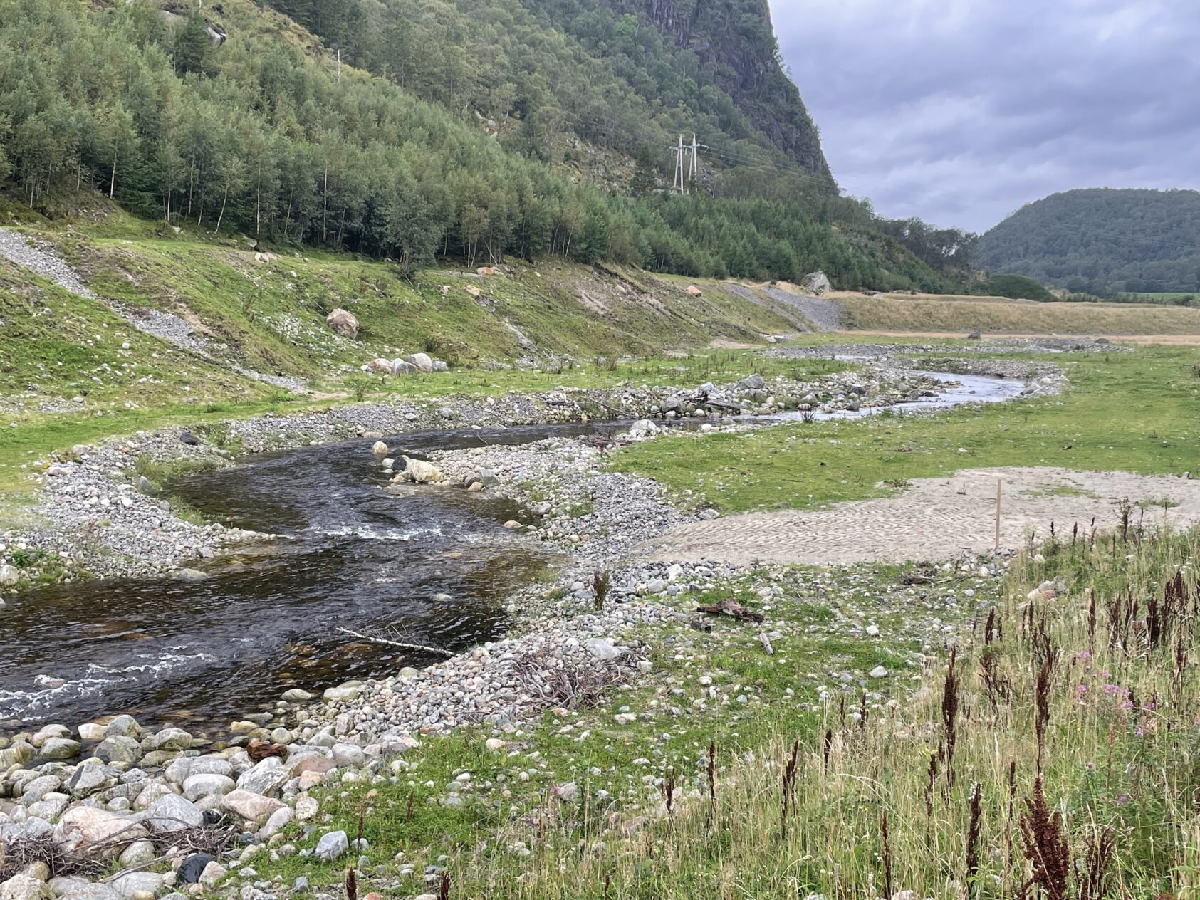 Ulrich Pulg, , Den nye Forsandåna med naturtypiske habitater og plass til flomsone og kantvegetasjon., <p>Foto: Ulrich Pulg</p>,