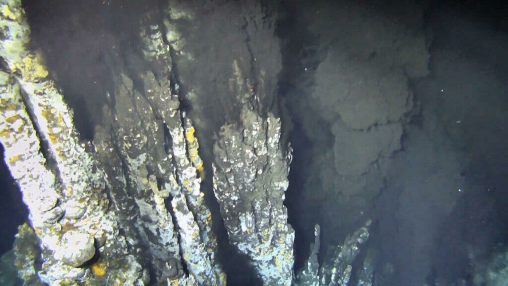 Foto: Ægir 6000/NORMAR/UiB, Her strømmer damp og veldig varmt vann som blir svart på grunn av kjemiske reaksjoner med bergarter. Derfor kalles disse «svarte skorsteiner»., Hydrotermisk felt, , 