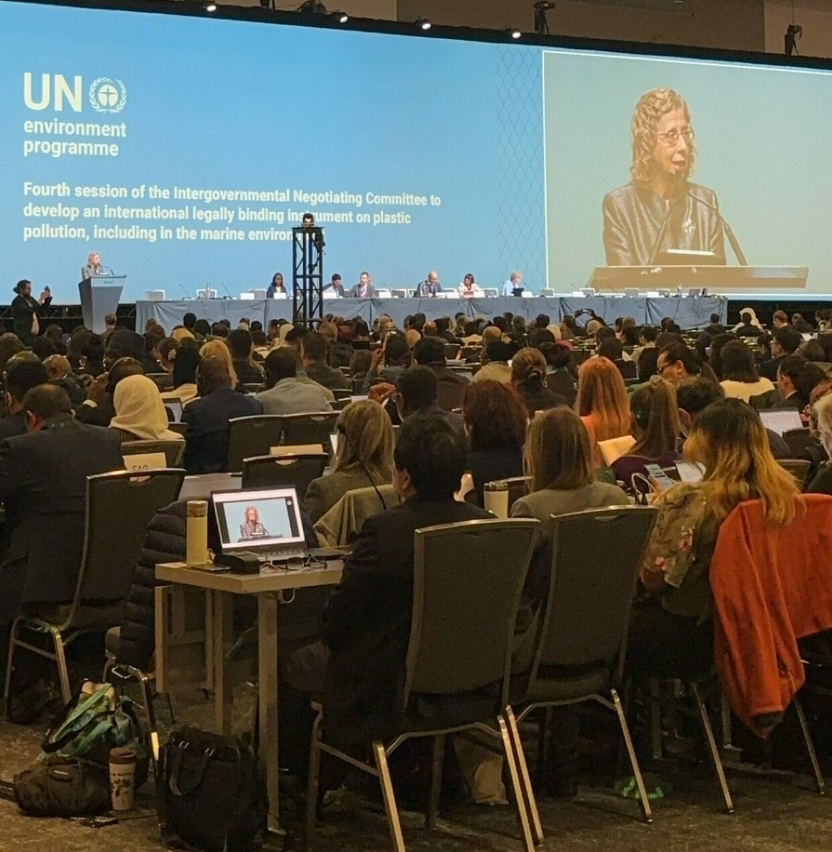 Lene Kristin Hansen, 2,500 delegates from 170 countries attended the fourth round of UN negotiations on a global plastic agreement, Inc4, ,