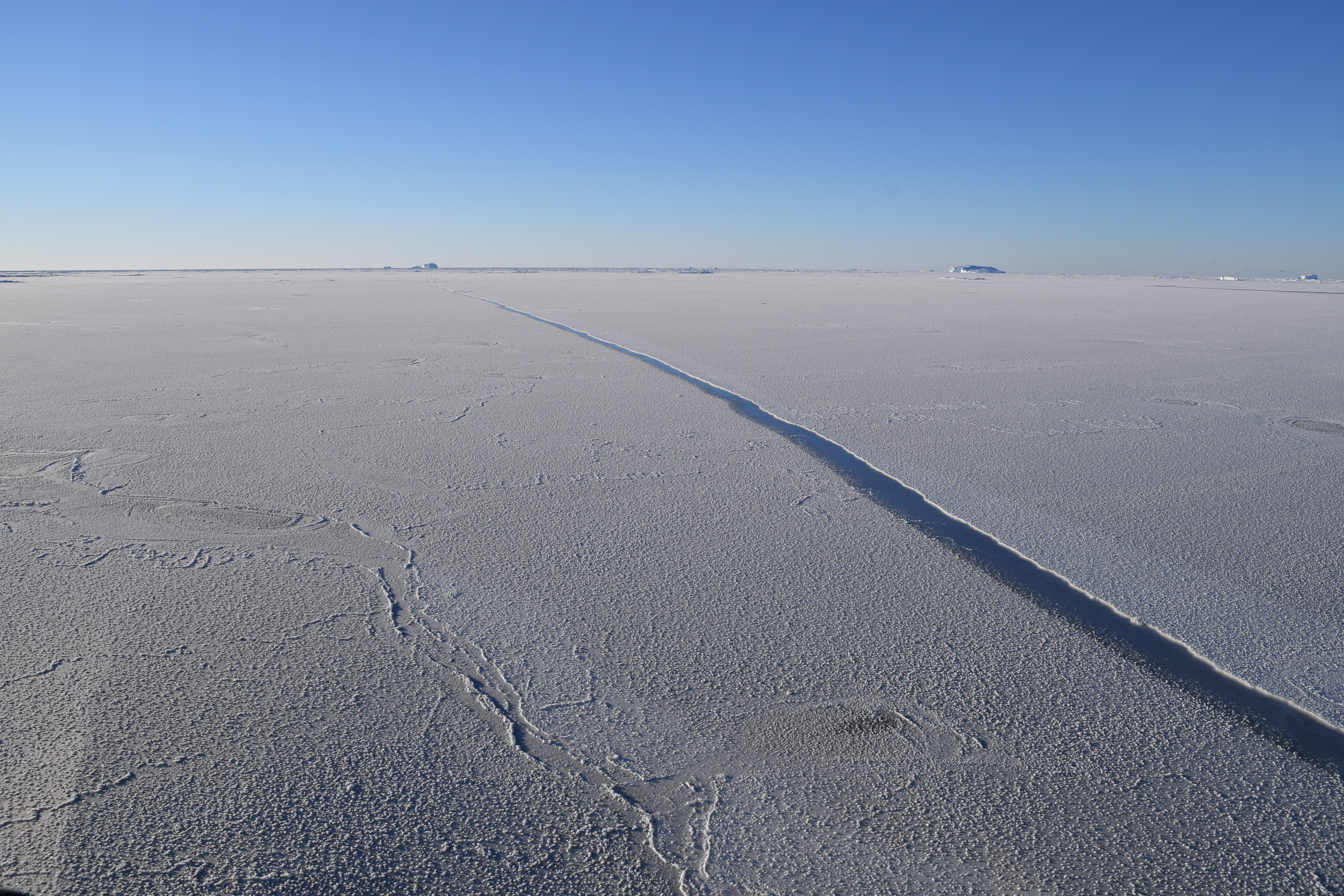 New sea ice