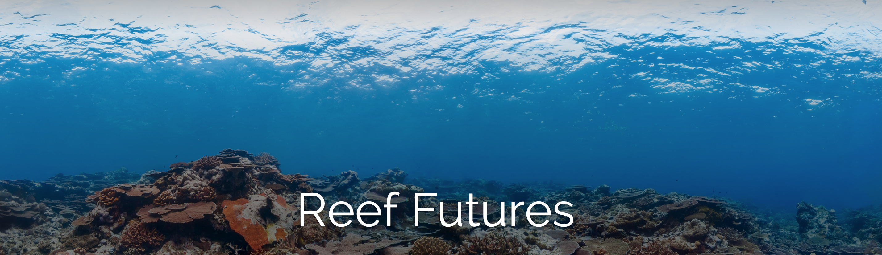 , Foto: The Ocean Agency / XL Catlin Seaview Survey, Reef, ,