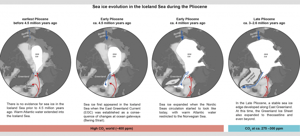 Seaice Icelandsea
