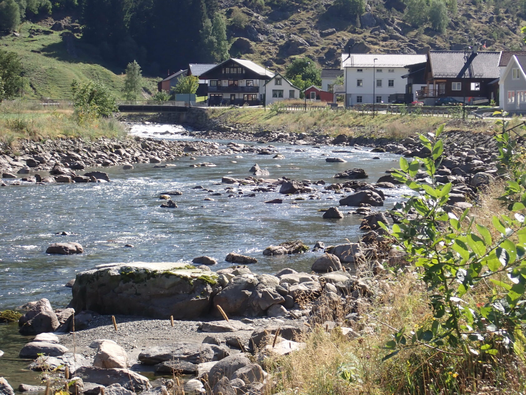Ulrich Pulg, NORCE LFI, Miljøtilpasset erosjonssikring med spirende kantvegetasjon i Flåmselvi, en av fire elver som er pilot for den nye kunnskapen som presenteres i rapporten., Miljøtilpasset erosjonssikring med spirende kantvegetasjon i Flåmselva ulrich pulg, <p>Ulrich Pulg, NORCE LFI</p>, Stillegående elv med stein og gårdsbruk bak.
