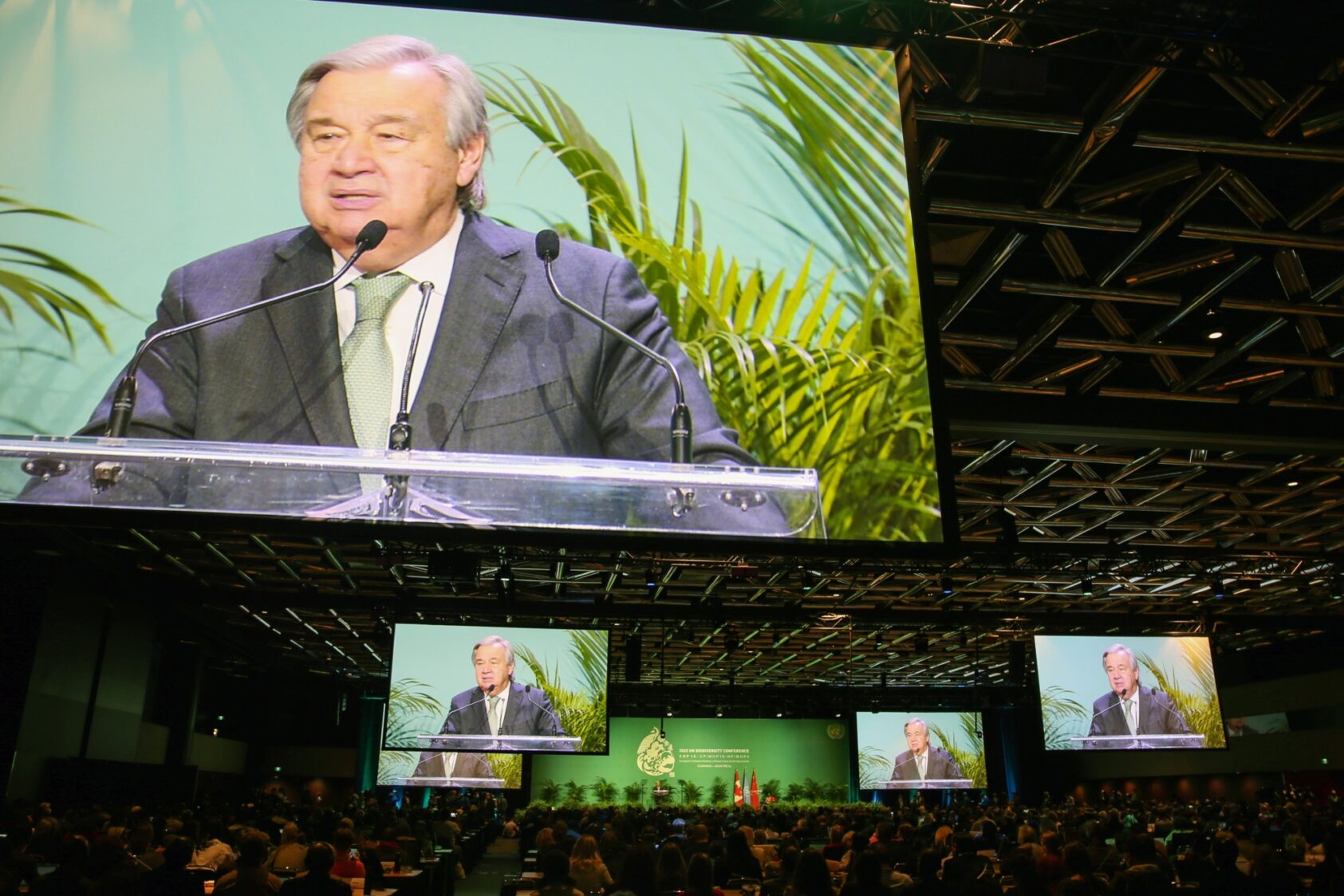 IISD/ENB | Mike Muzurakis, FNs generalsekretær António Guterres, 370 A1698, ,
