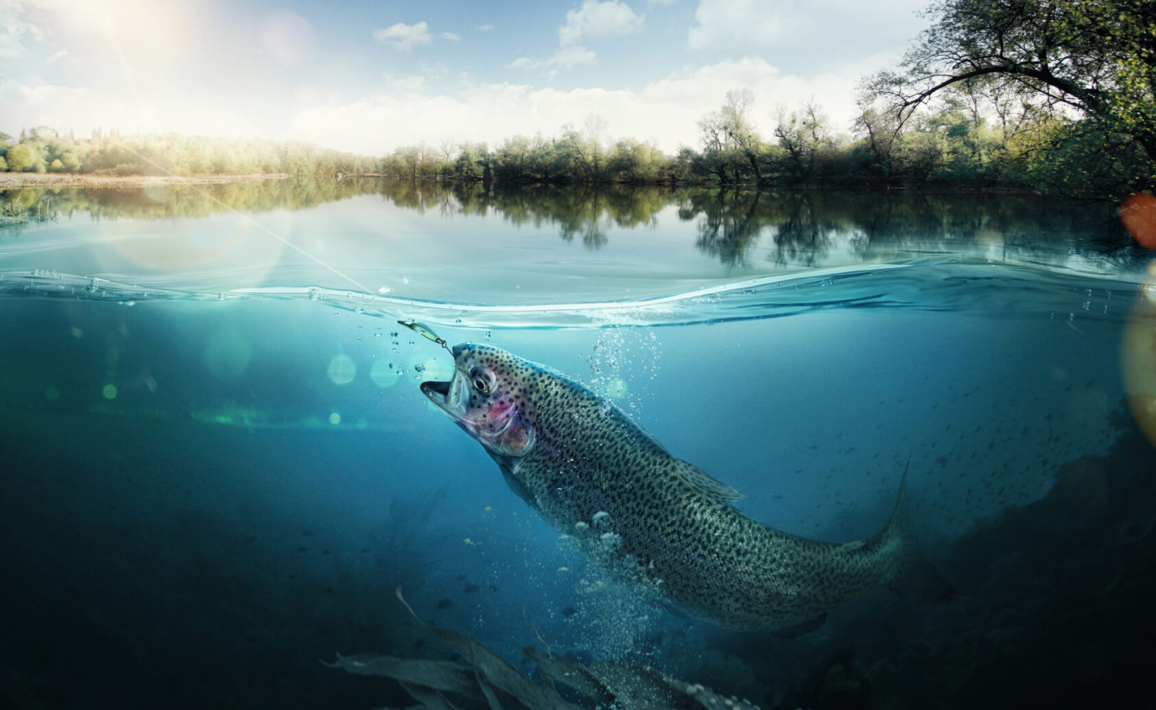 Adobe stock #79580177, , Adobe Stock 79580177, ,