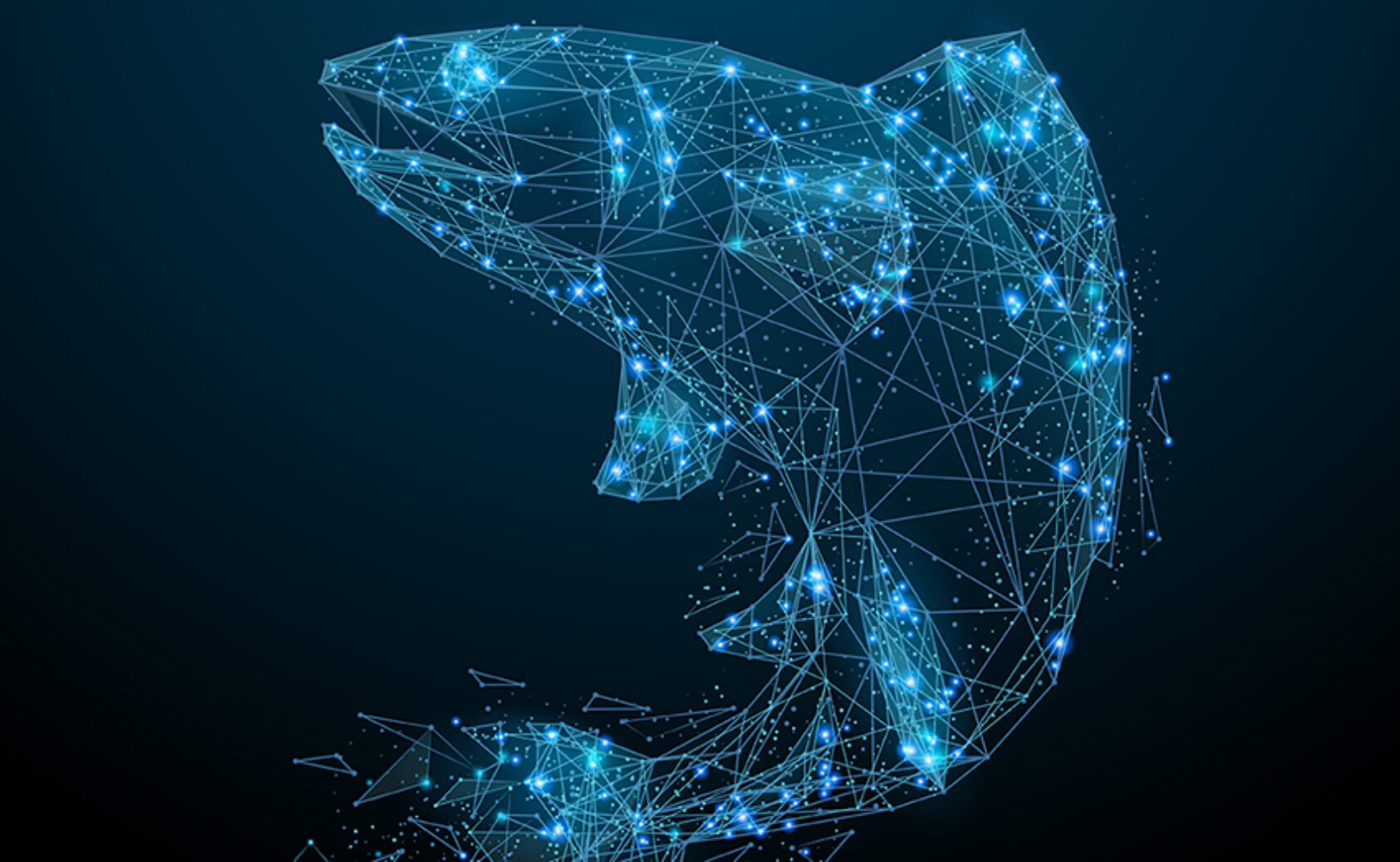 , , Digital fish figure, ,