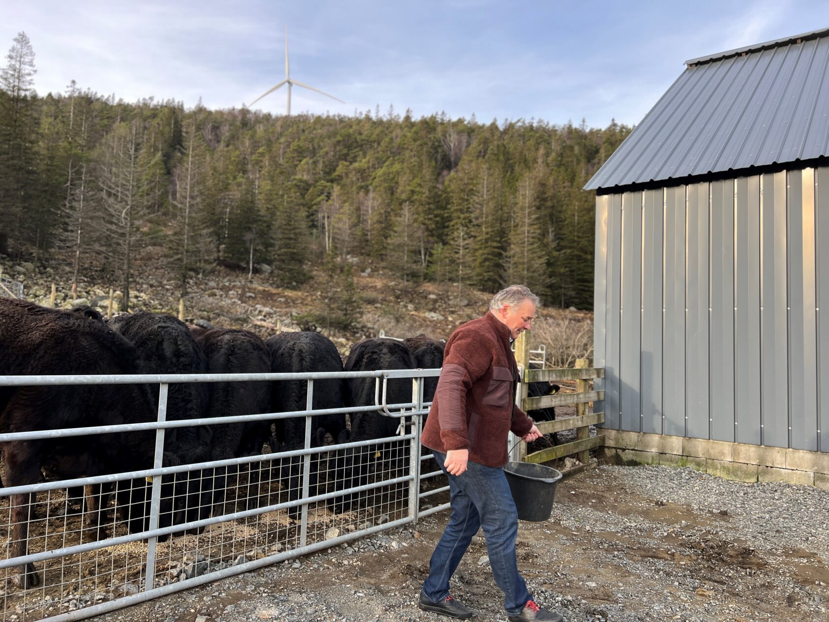 Gunn Janne Myrseth, Godt stell av dyrene er viktig for Kjell Ivar Ueland., Kjell, ,