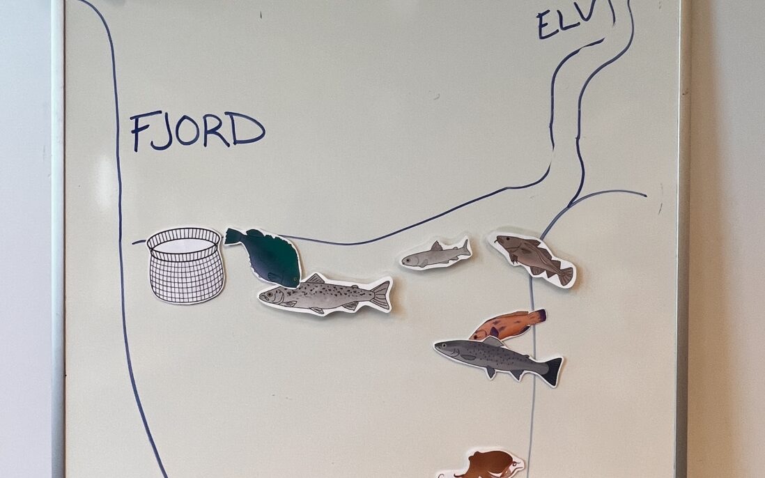 Tavle med fiskens kretsløp