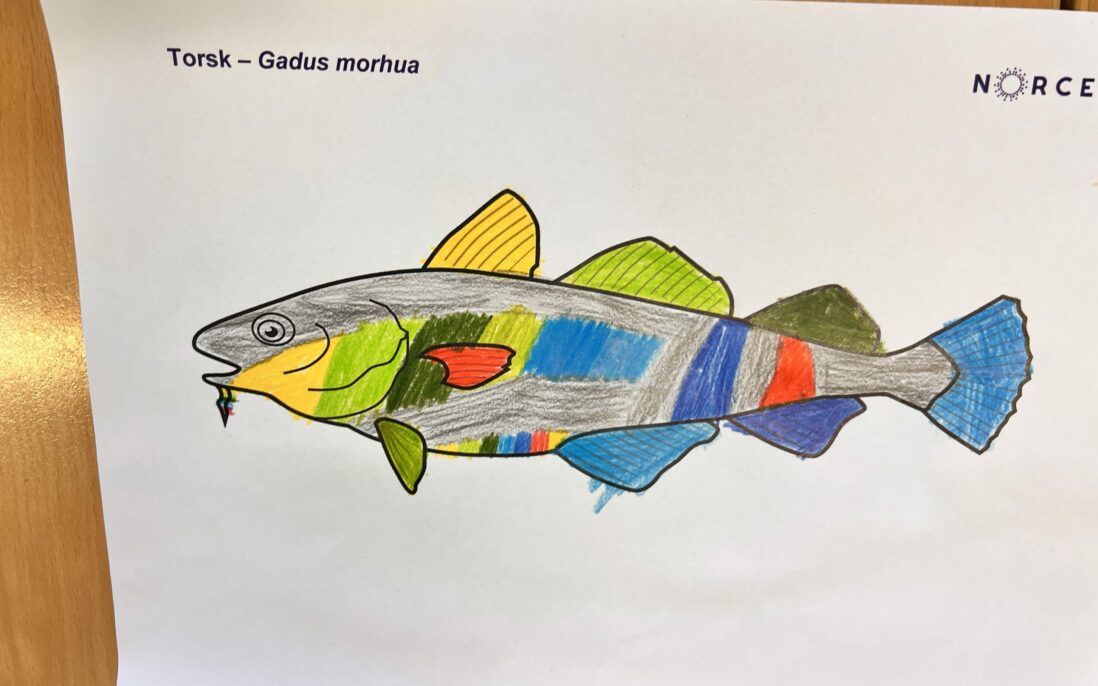 Torsk fargelagt av elev Slettebakken skole, Bergen.