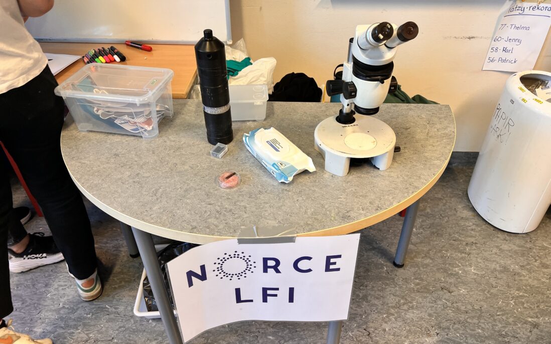 Mikroskop. sensorer, mikroskopiske dyr som barna skal få lære om.