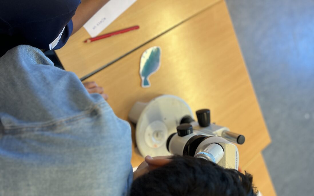Barn tester ut mikroskopet og ser et lite dyr.