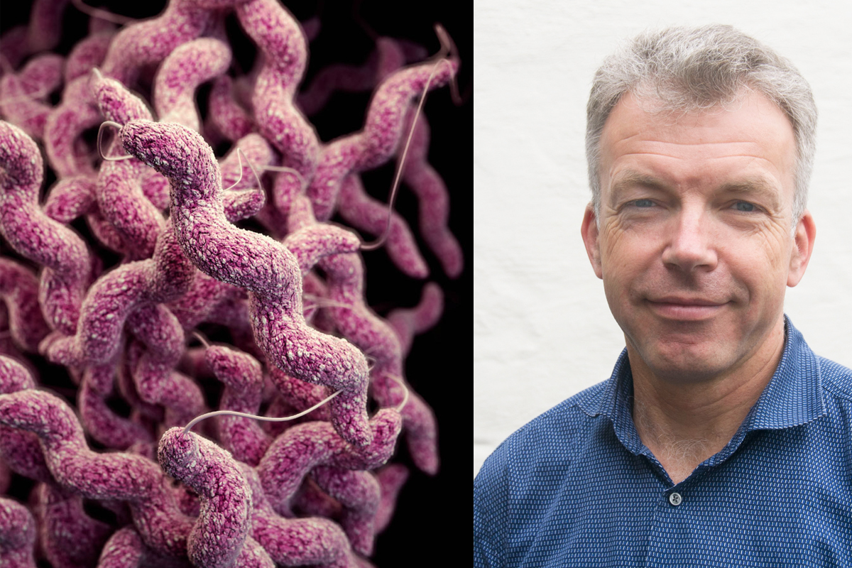 Campylobacter illfoto m wensaas
