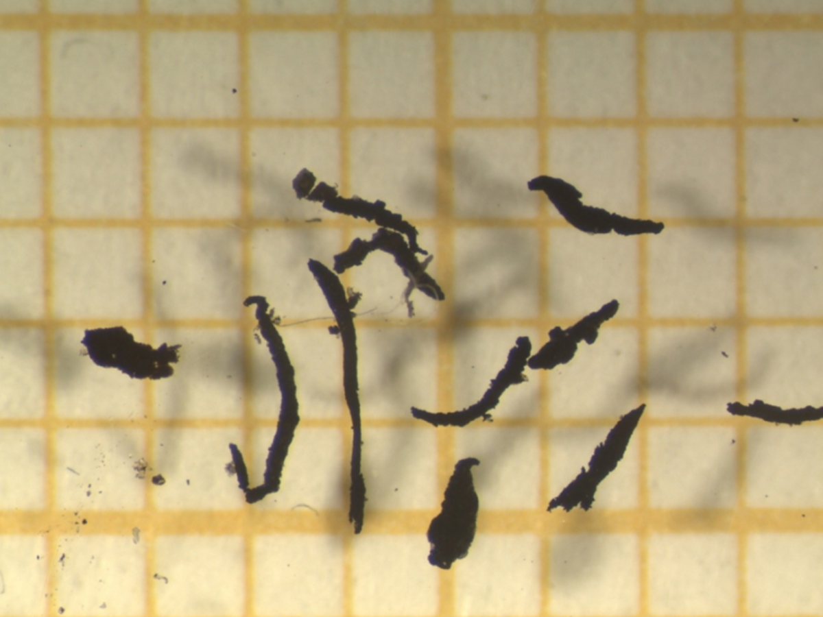 Marte Haave, Road particles after tyre wear. Image from Urban Microplastic, a project we have together with the City of Bergen, funded by Regional Research Fund Vestlandet., Picture1 dekk, ,