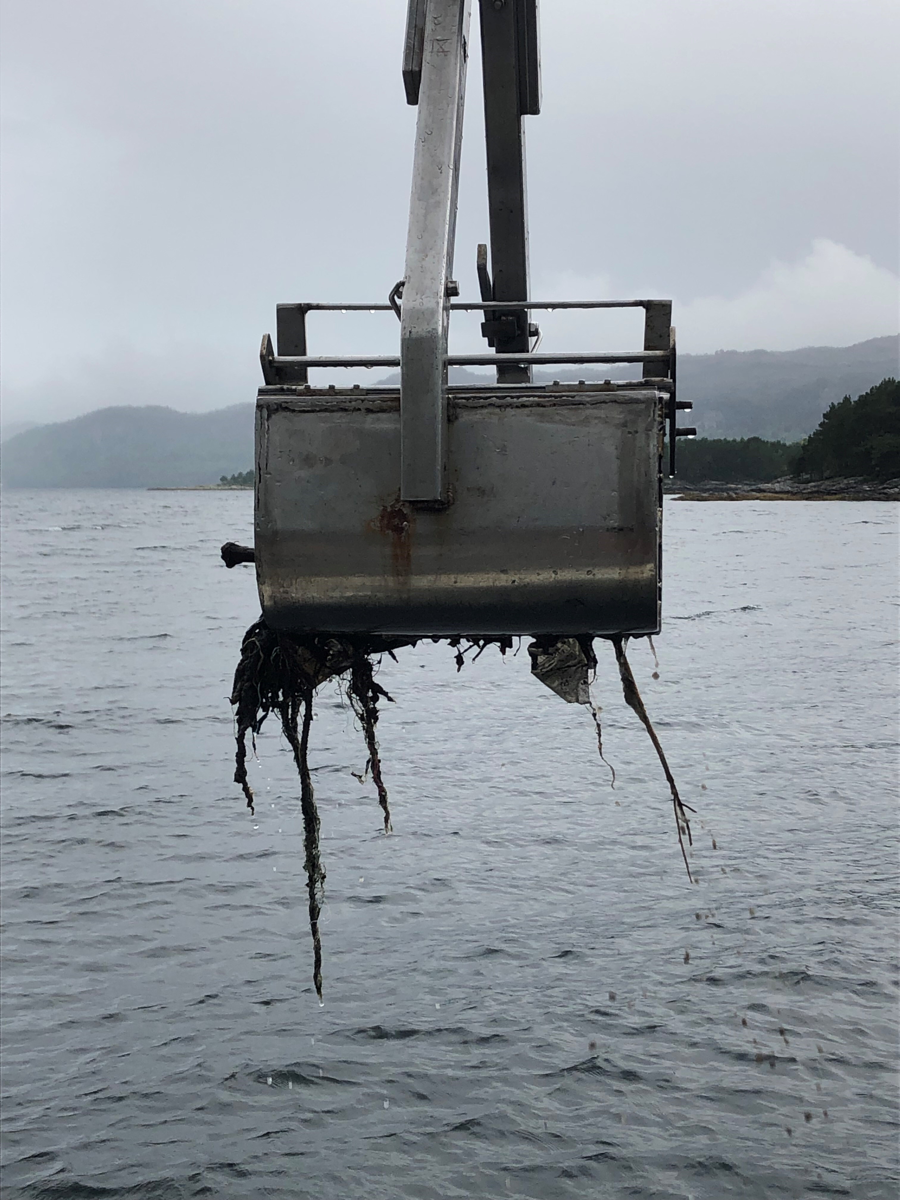 Grabb med avfall kolavika