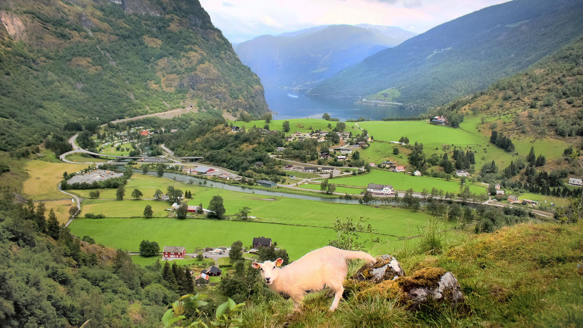 Høst mild natur