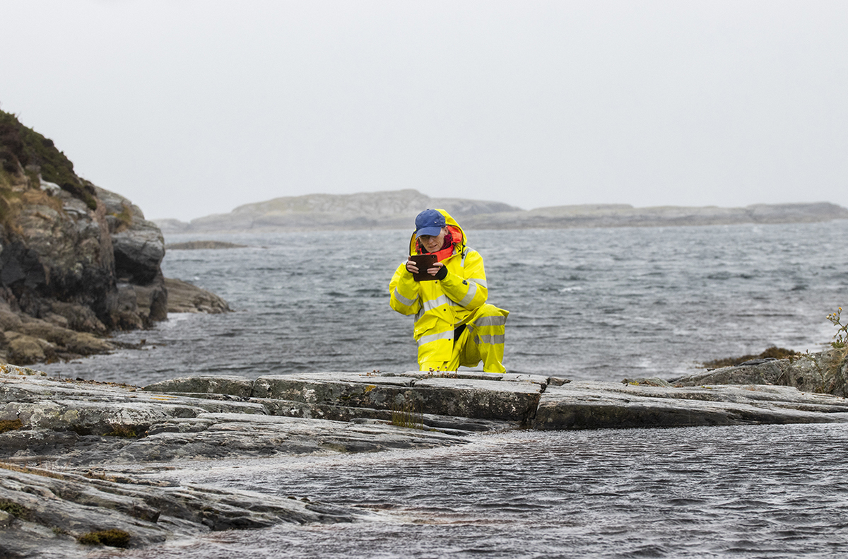 Haave havet