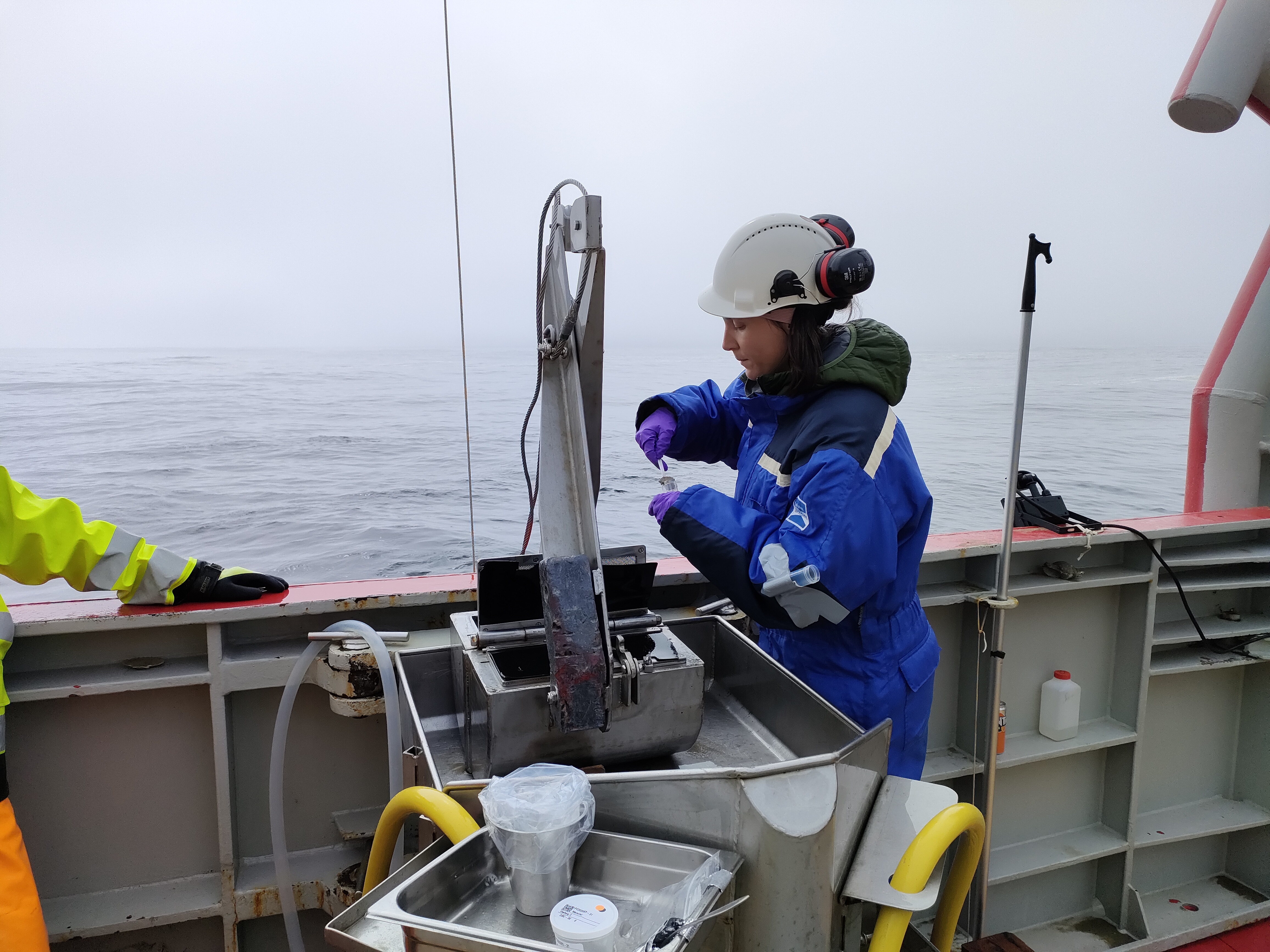 Meta Bridge 2 foto Miriam Brandt