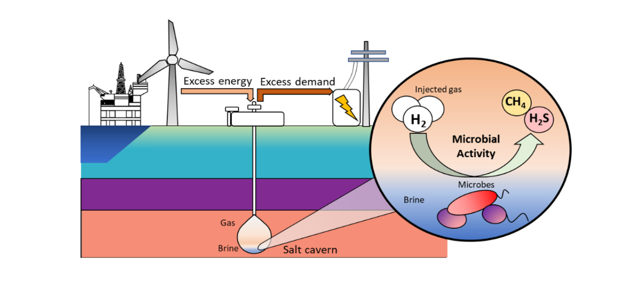 , , Biorisk energy2, , 