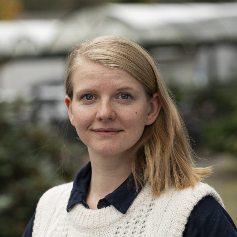 Ingvild Firman Fjellså