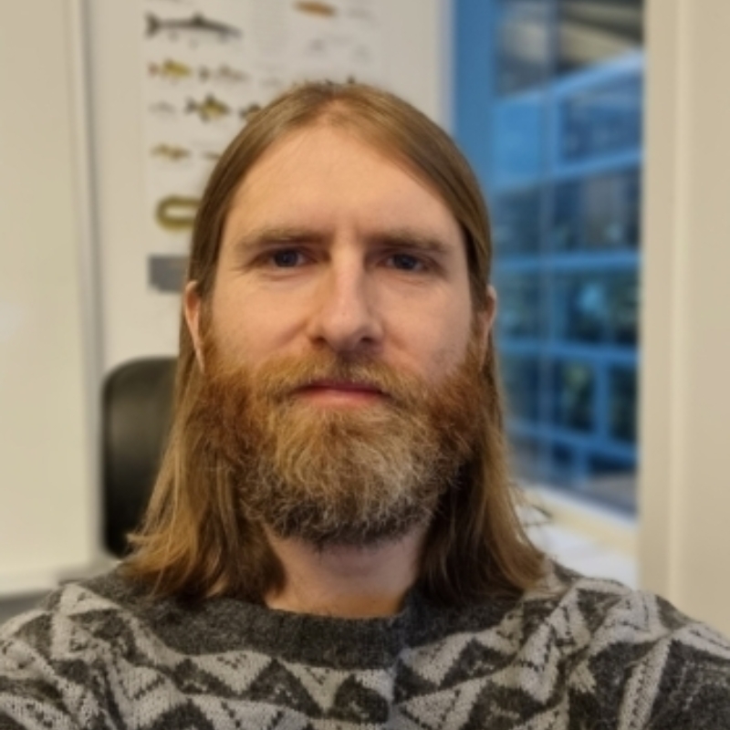 Marius Kambestad