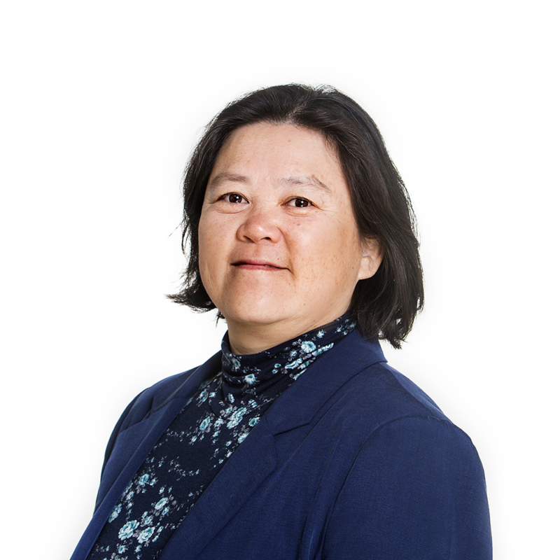 Ying Guo